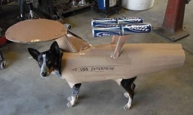 dog-star-trek-costume.jpg
